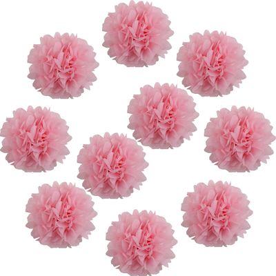 Lightingsky 10pcs DIY Decorative Tissue Paper Pom-poms Flowers Ball Perfect for Party Wedding Home Outdoor Decoration (10-inch Diameter, Pink)