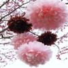 Lightingsky 10pcs DIY Decorative Tissue Paper Pom-poms Flowers Ball Perfect for Party Wedding Home Outdoor Decoration (10-inch Diameter, Pink) view 3