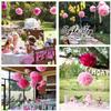 Lightingsky 10pcs DIY Decorative Tissue Paper Pom-poms Flowers Ball Perfect for Party Wedding Home Outdoor Decoration (10-inch Diameter, Pink) view 4