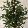 Creative Co-Op Embossed Antique Silver Mercury Glass Ornamental Garland (XC5496) view 3