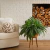 Nearly Natural 40in Hanging Artificial Fern Plant, Set of 2 - Realistic Silk Plant, Faux Greenery For Home Living Room Decor Natural Look Low Maintenance view 4