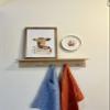 Rocky Mountain Goods Plate Hanger for Wall and Mounting Hardware - Fits Decorative Plates and platters - Heavy Duty Polished Brass - Vinyl Non Scratch Hooks - Includes Wall Mount kit (11" - 18") view 3