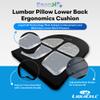 ERGO21 Lumbar Pillow Lower Back Support Cushion for Back Rest, Good Posture, Spine Pain, Long Sitting Hours at Chair, Office, Car Seat, Wheelchair, Large (18" W x 24x 1.5) view 2