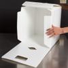 Innovative Sugarworks Small Cake Porter with Insulated Cover and Cake Carrier, 14" x 14" x 16", White view 2
