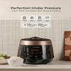 CUCKOO High Pressure Rice Cooker 10-Cup Uncooked / 20-Cup Cooked with Nonstick Inner Pot, Large Rice Maker with 13 Menu Options and Steam Plate, Fuzzy Logic Tech, Voice Guide, Black (CRP-P1009SB) view 2
