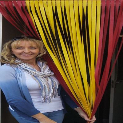 Holland Plastics Original Brand Tube Type Door Curtain Bug Fly Strip Blind- 80cm Wide - Spain
