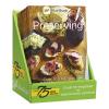 Ball 1440021411 Blue Book Guide To Preserving 37th Edition Cook Book view 1